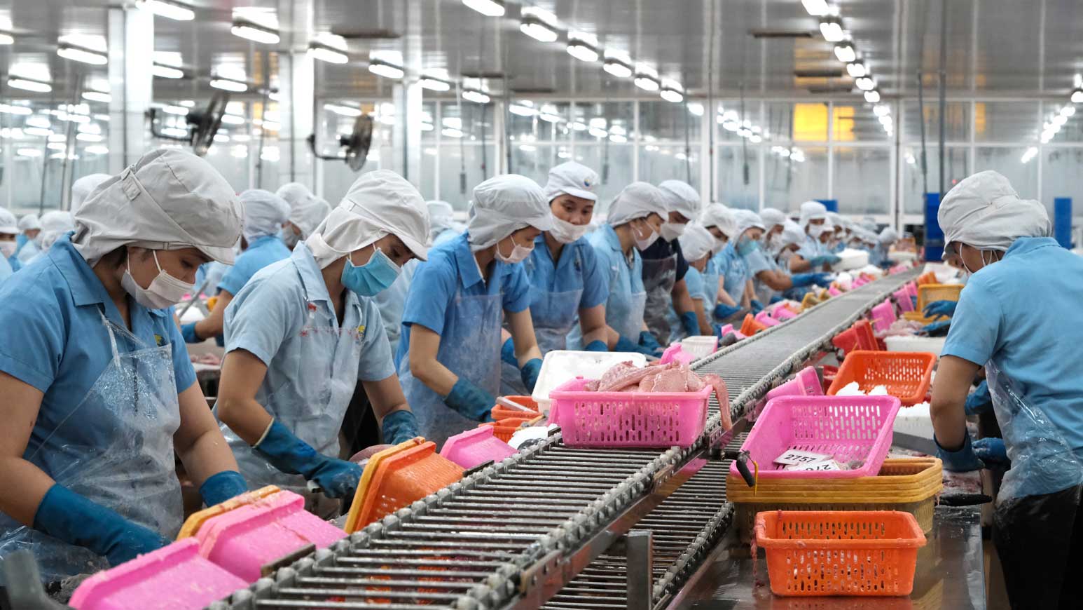Cung ứng lao động theo đơn hàng sản xuất Hà Nam
