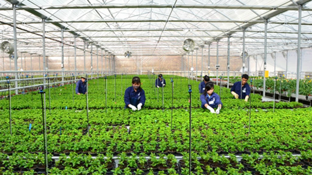 Cung ứng lao động thời vụ cho doanh nghiệp Hưng Yên