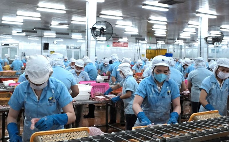 Cung ứng lao động theo đơn hàng sản xuất Hà Nam